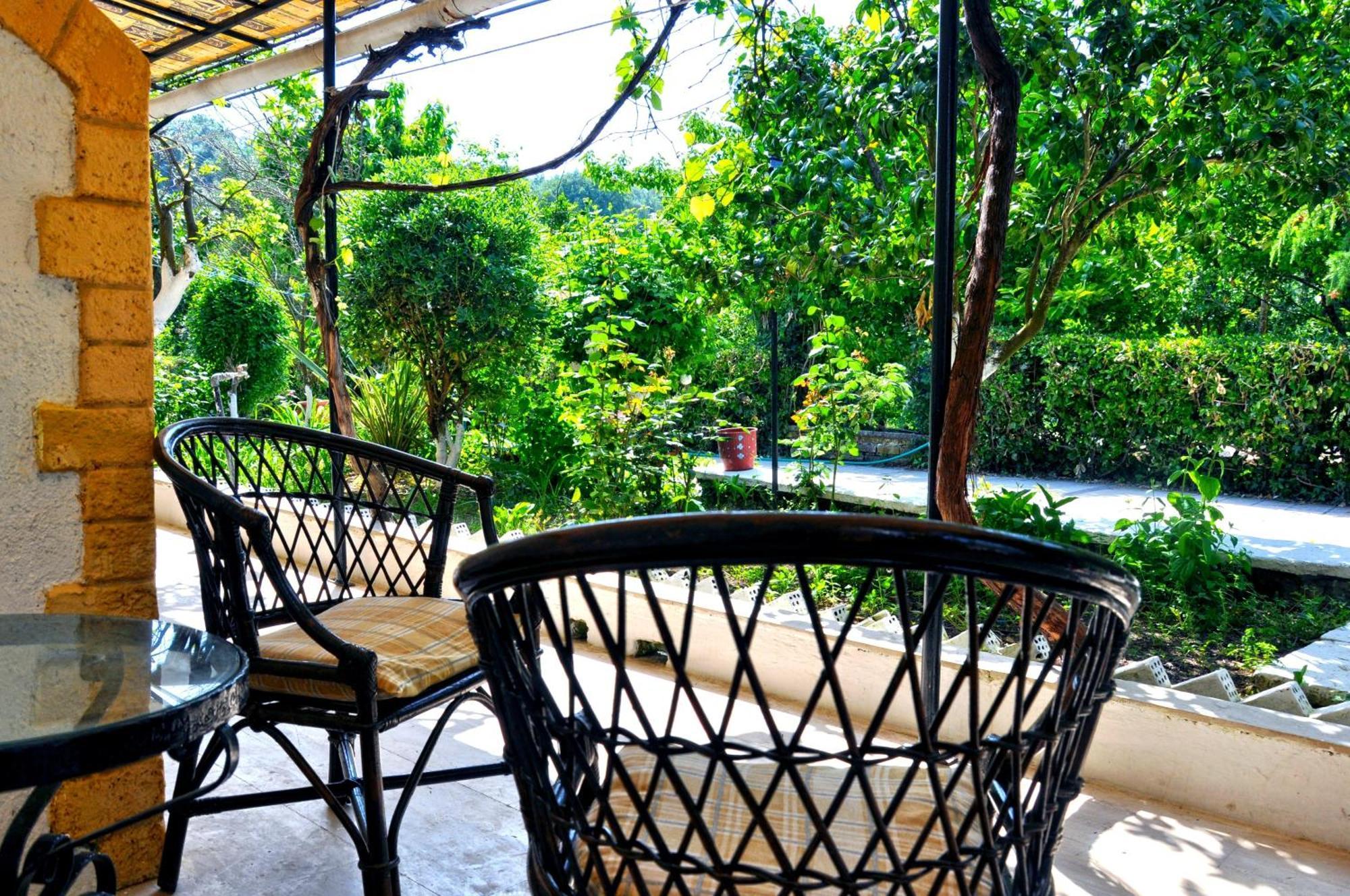 Villa Elena Studios Дассия Экстерьер фото