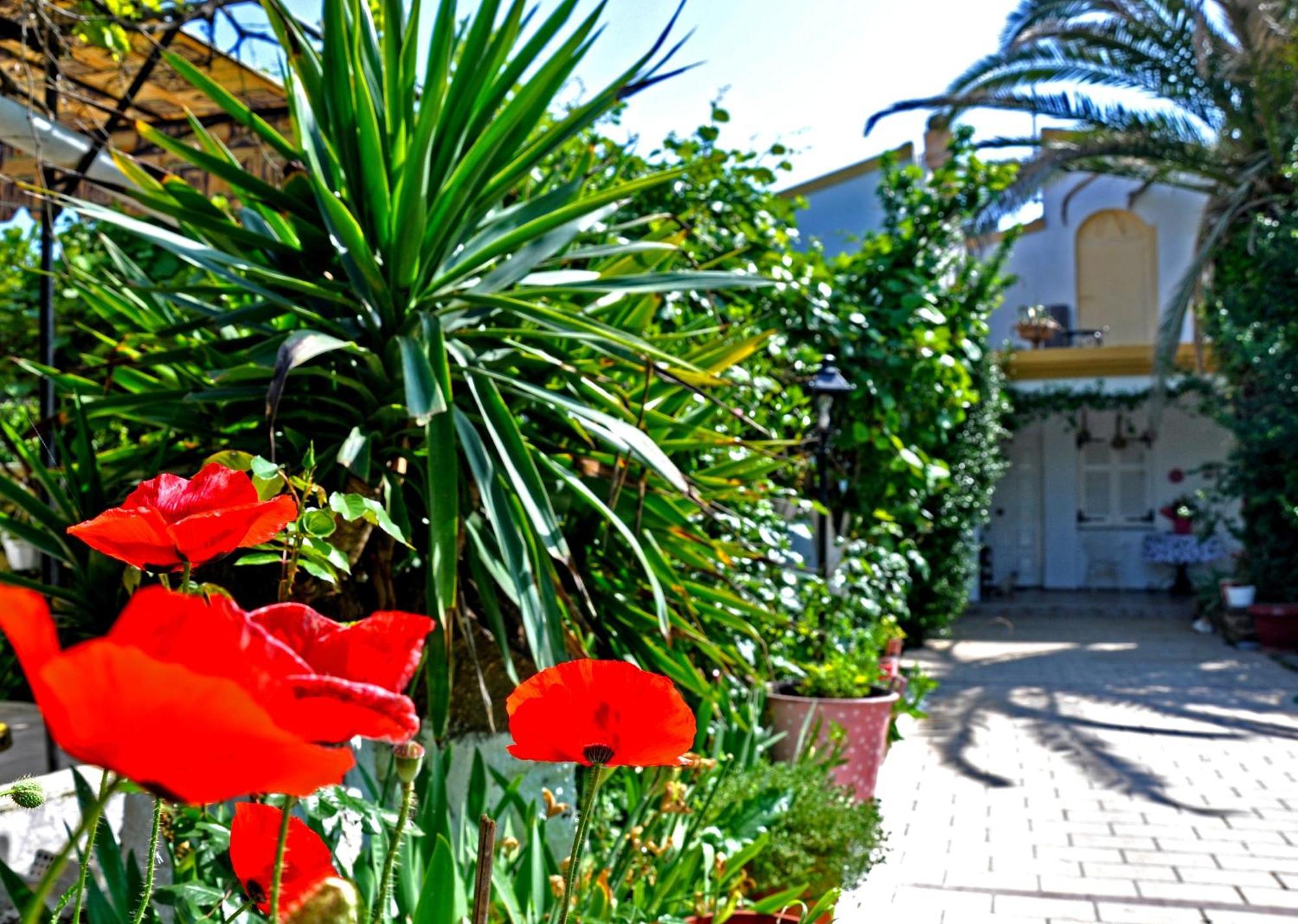 Villa Elena Studios Дассия Экстерьер фото
